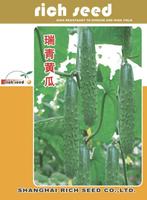 Ruiqing Cucumber