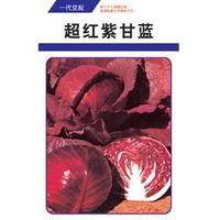 Super Red-Purple Cabbage