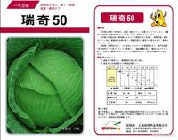 Ruiqi 50 Cabbage